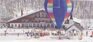 �������x���ۃX�L�[��